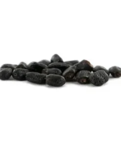 Bolivianischer Fackelbaum (ECHINOPSIS lageniformis) 20 Samen