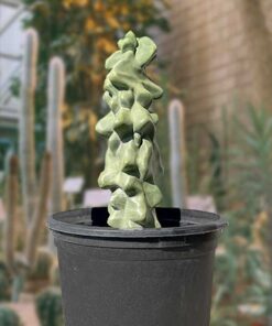 Totempfahl „Major“