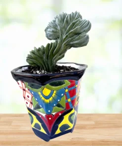 Blaue Flamme mit Haube