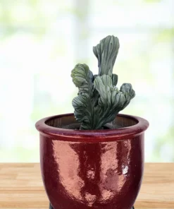 Blaue Flamme mit Haube