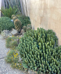 Marokkanischer Hügel