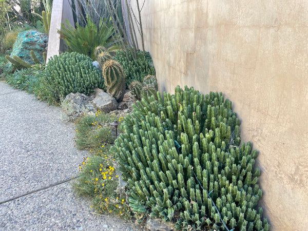 Marokkanischer Hügel