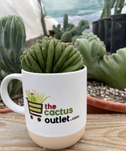 Blaue Flamme mit Haube