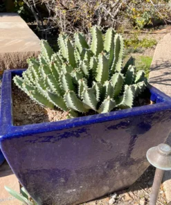 Marokkanischer Hügel