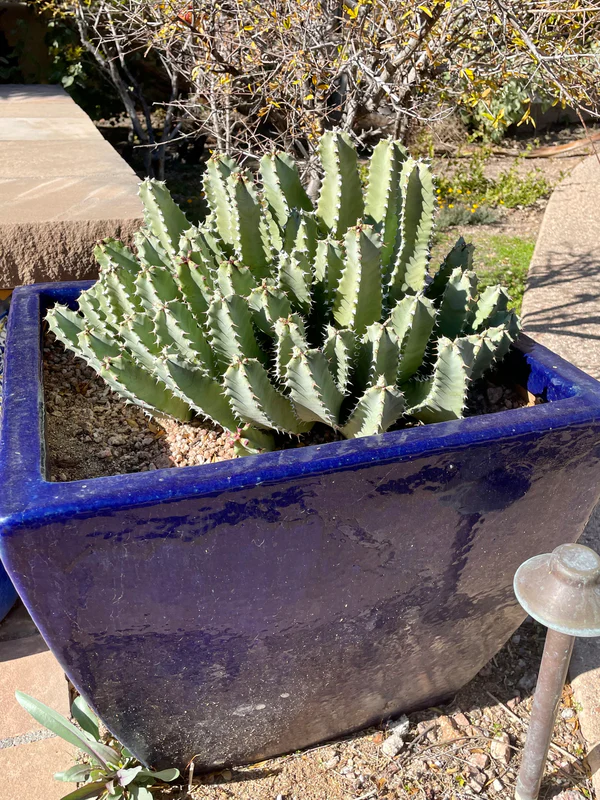 Marokkanischer Hügel