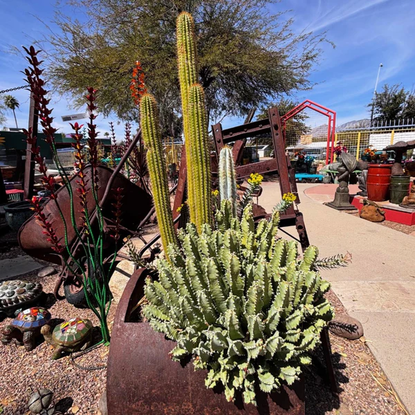 Marokkanischer Hügel