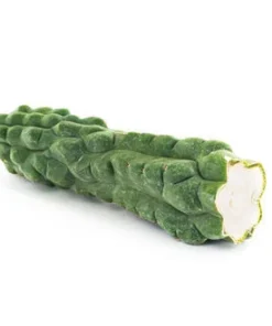 SAN PEDRO (ECHINOPSIS PACHANOI) ‘MONSTROSE’