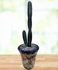 Peruanischer Apfelkaktus