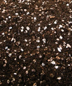 Kakteen- und Sukkulentenerde