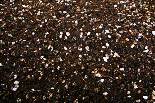 Kakteen- und Sukkulentenerde