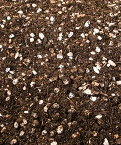 Kakteen- und Sukkulentenerde