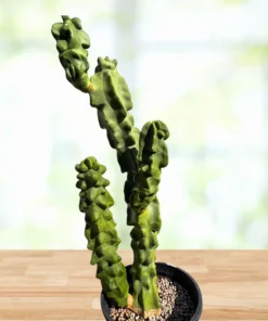 Totempfahl „Major“